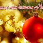 AF1QipNpw70Qilcb2EIR50rw8RaRCS4mNkeSSOCHpgCUw1920-h1080-k-no-1815081-7436696.jpeg