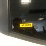 AF1QipOU2uqq-q3-eN3_6xNkrTbRFmJpX6wX0H9FanIAw1920-h1080-k-no-9978310-8048477.jpeg