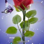 AF1QipPPclGFYdbbsQ-rVt7GU69dOJrmSgjVMlZSGo16w1920-h1080-k-no-6963256-3288737.jpeg