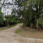 thumbnail-1384219-9289899.jpeg