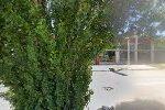 thumbnail-5425881-9254515.jpeg