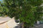 thumbnail-8189442-7735839.jpeg